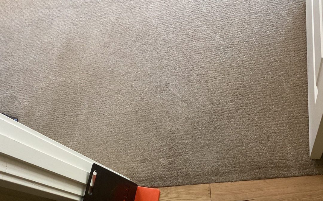 The Role of Corner Guards in Our Carpet Cleaning Service