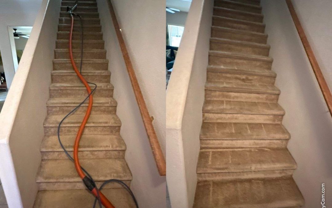 Elevate Your Home: Professional Carpet Cleaning for Stairs