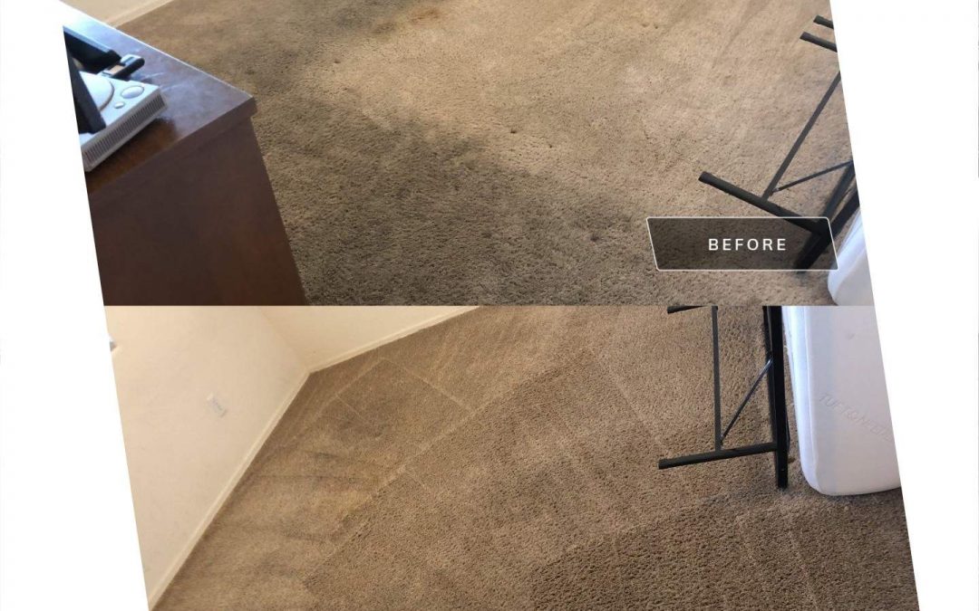 Revitalizing High-Traffic Bedrooms: A Cleaning Success Story by Surprise Carpet Repair & Cleaning