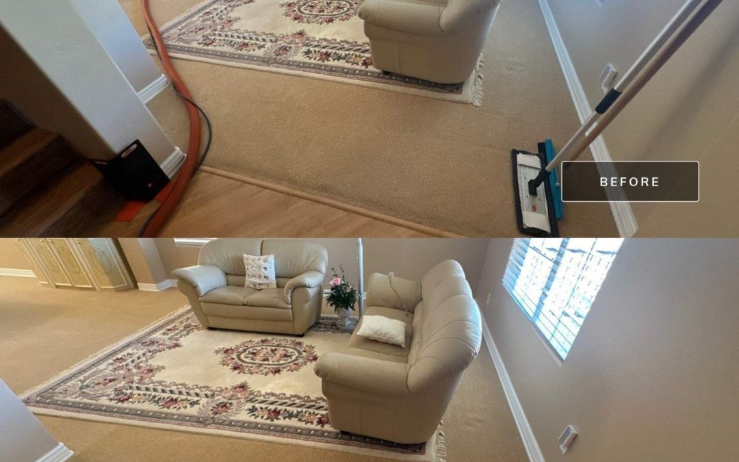 Experience Fresh, Clean Carpets with Surprise Carpet Repair & Cleaning