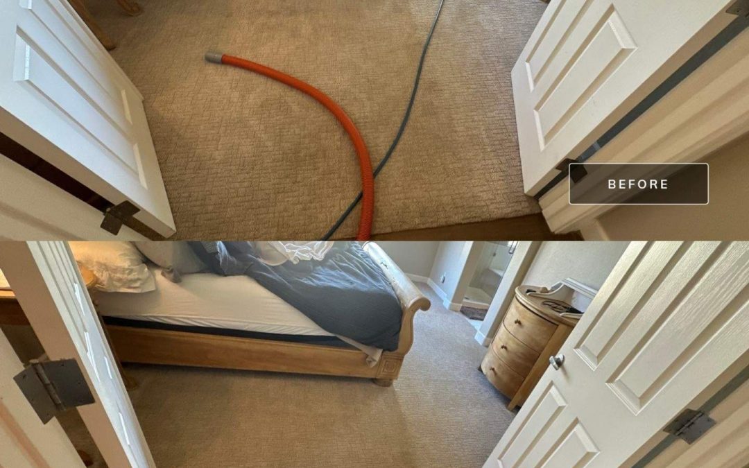 Start the New Year with Fresh, Clean Carpets from Surprise Carpet Repair & Cleaning