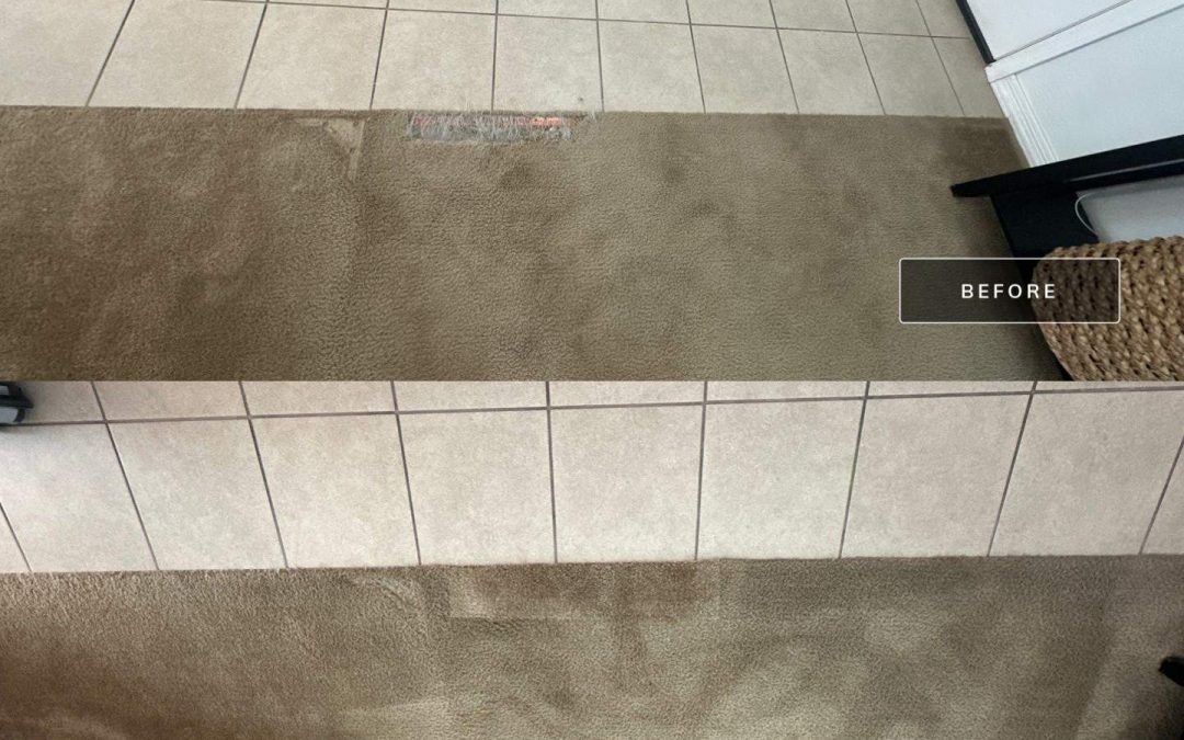 Say Goodbye to Pet Damage with Expert Carpet Repair in Surprise, AZ