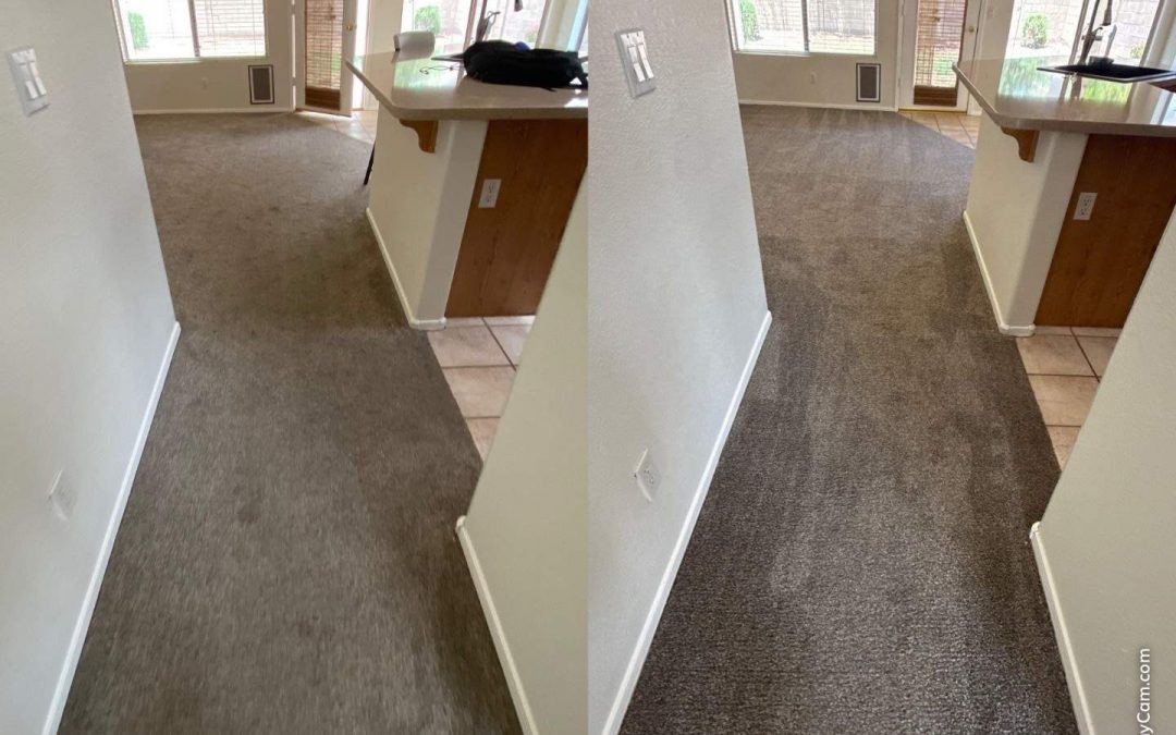 Surprise Carpet Repair & Cleaning: Bring Life Back to Your Carpet with Professional Cleaning