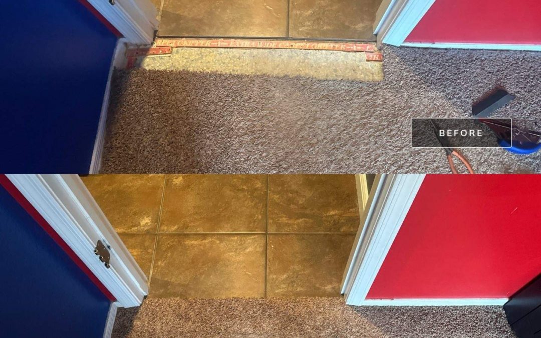 Pet Damage? Surprise Carpet Repair & Cleaning Can Restore Your Carpet