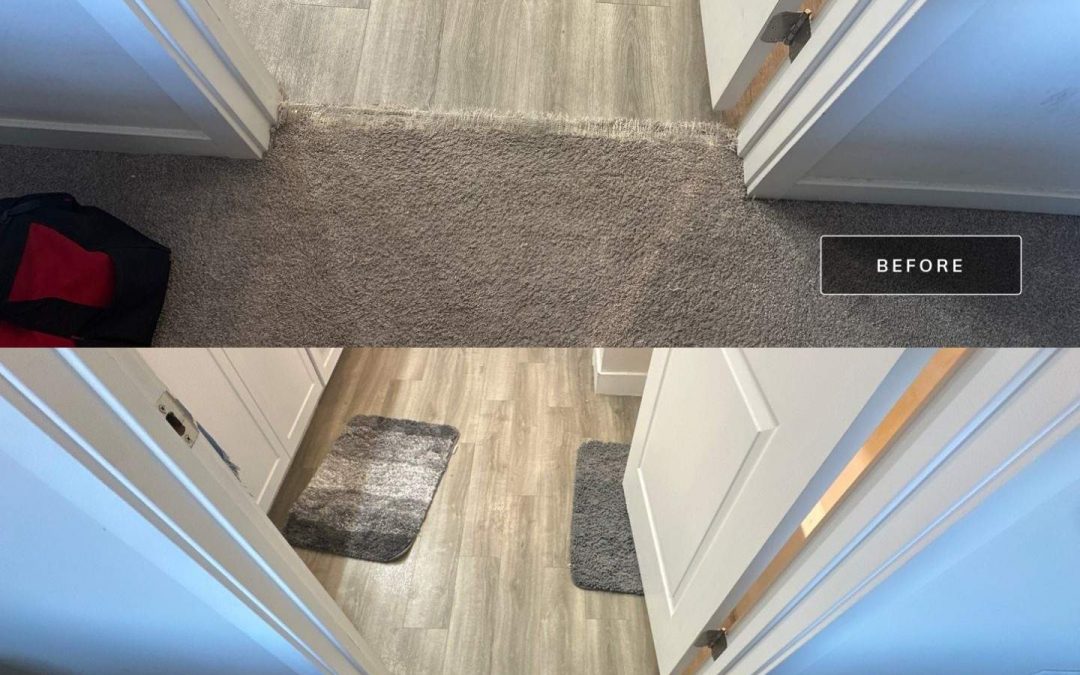 Carpet Repair After Pet Damage in Surprise, AZ