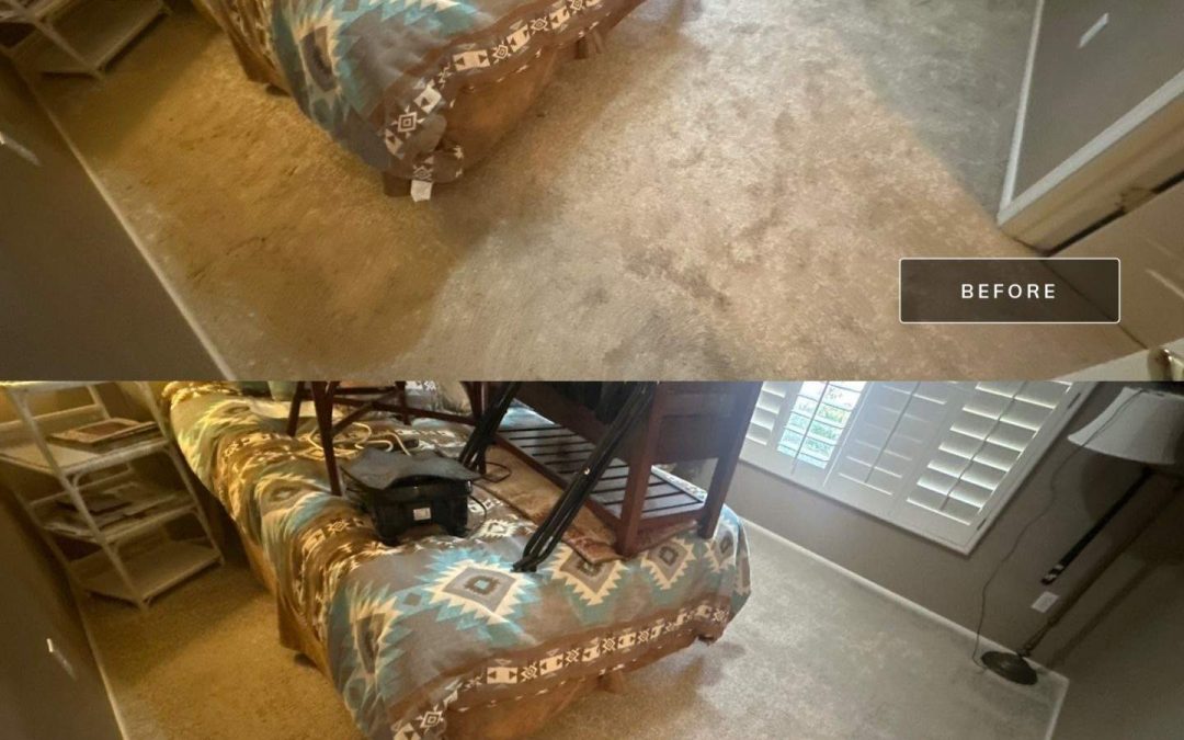Professional Carpet Cleaning in Surprise, AZ