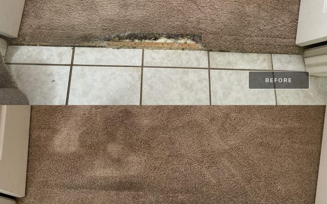 Professional Carpet Repair Services in Surprise, AZ